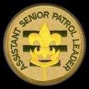 assistant senior patrol leader badge